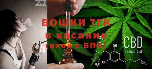 шишки Алексеевка