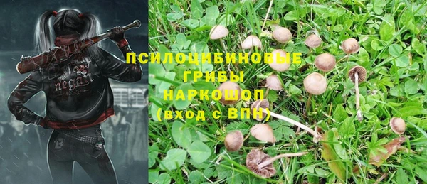 PSILOCYBIN Арсеньев