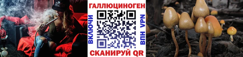это телеграм Пласт Галлюциногенные грибы Magic Shrooms